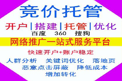 竞价SEM托管案例：精准营销的利器